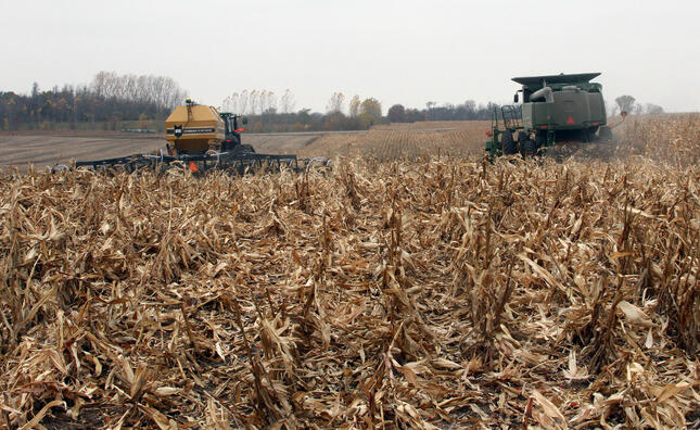 SoilWarrior in corn residue