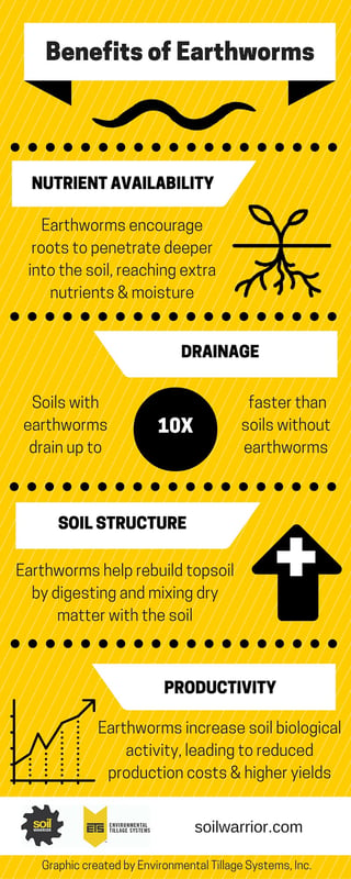 Benefits of Earthworms Infographic