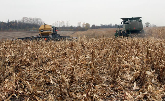 SoilWarrior in corn residue
