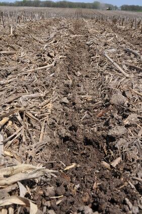 Pederson Planting Zone Pederson Planting Zone