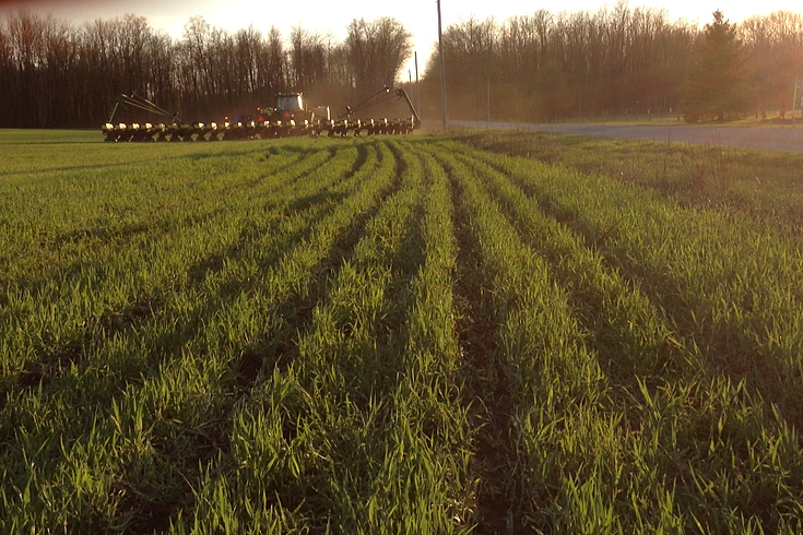 Plantingintocerealrye