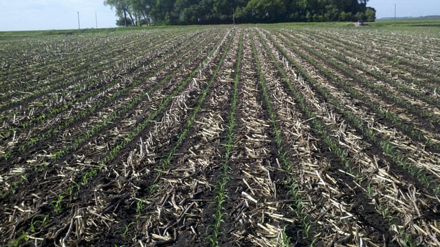 SoilWarrior Zones in Iowa