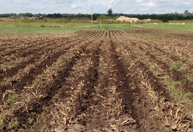 SoilWarrior Zones at Central Valley Technology Day