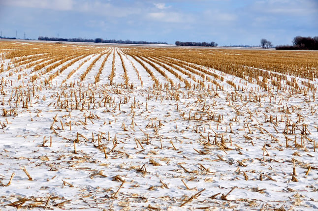 crop residue protects soil from wind and water erosion
