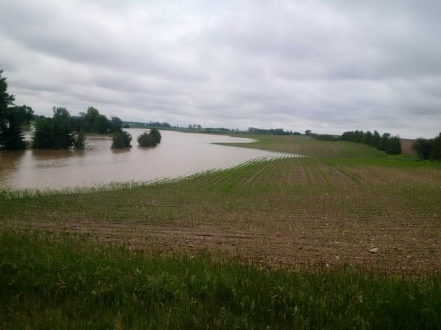 fields after 10 inches of rain at Cantelon farms