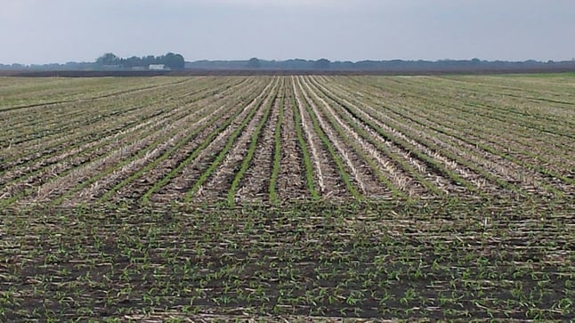 strip-till with SoilWarrior in spring