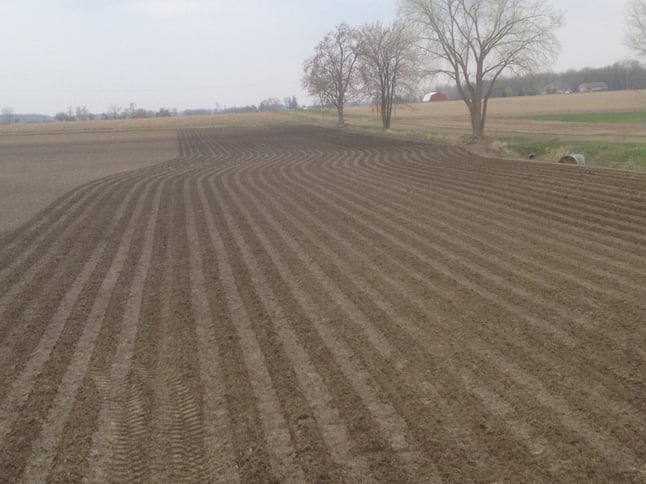 Twin row strip-till with SoilWarrior