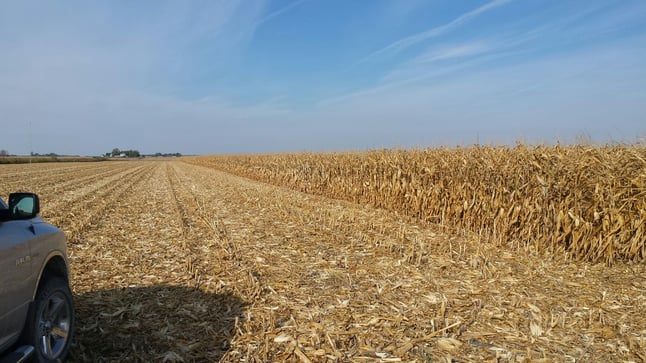 SoilWarrior handles tough corn-on-corn residue