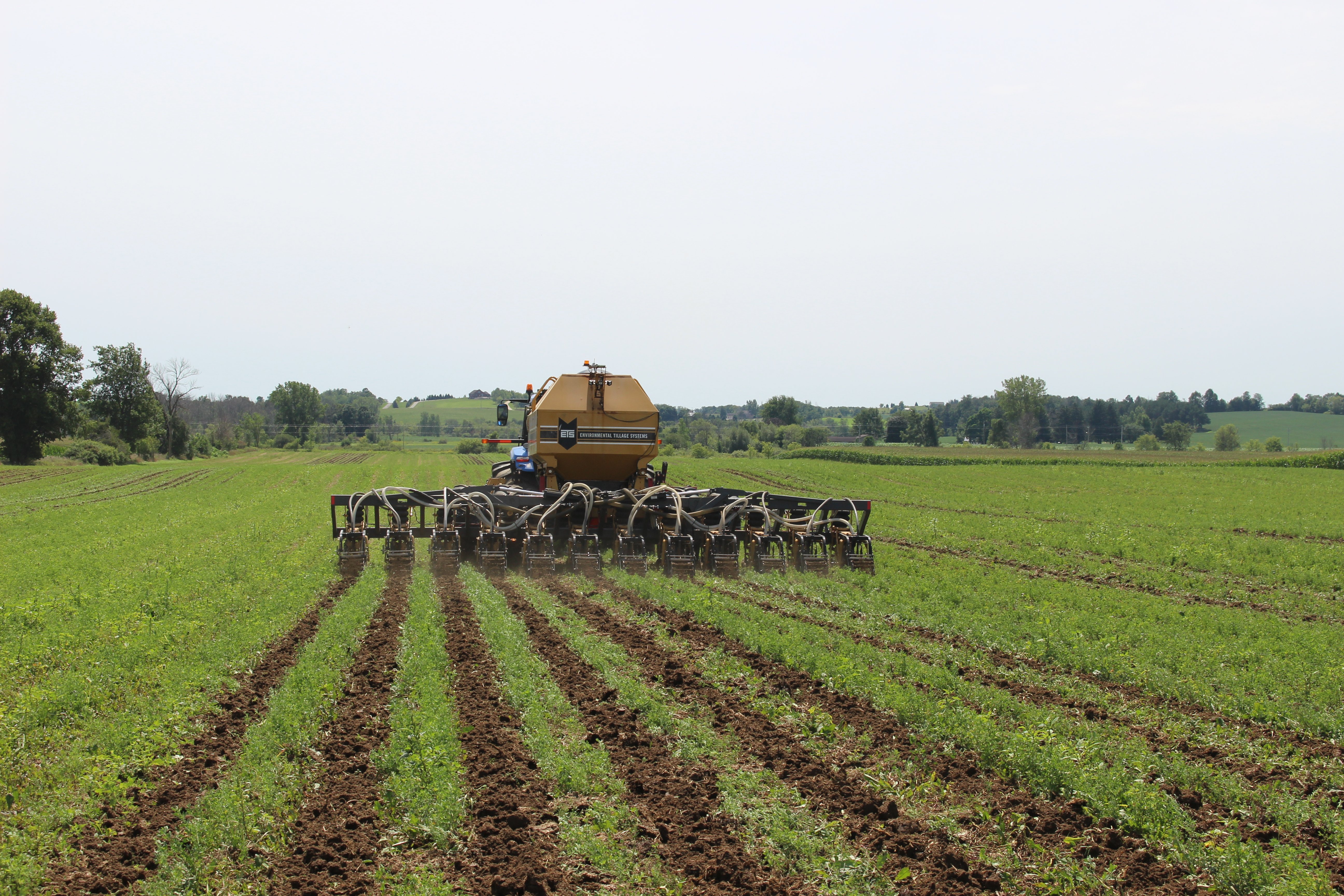 Video] 'It's Too Pretty to Use!' Farmer Sees His New Strip-Till Rig for  First Time