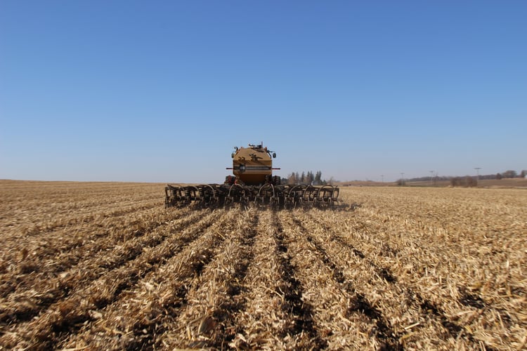 SoilWarrior Corn Stalks