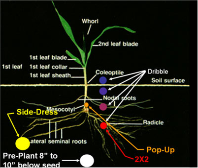 Multiple Band Fertilizer Approach