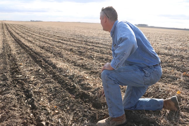 Ed Hegland digs conservation tillage