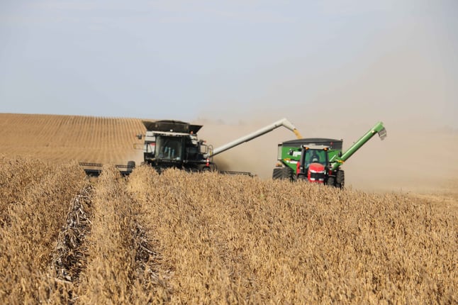 strip till harvest in Minnesota