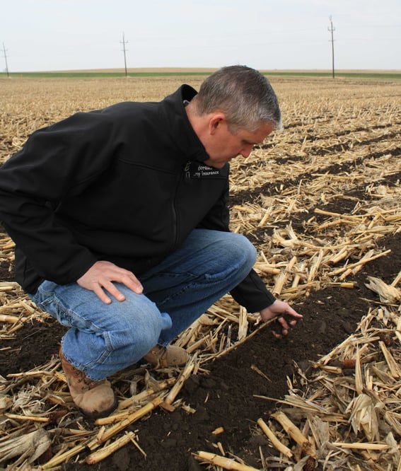 SoilWarrior Zone Tillage