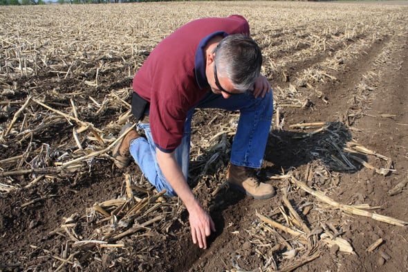 Hegland_strip_till_planting