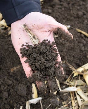 Strip-till Healthy Soil