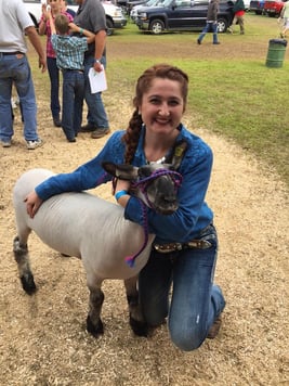 catie and sheep